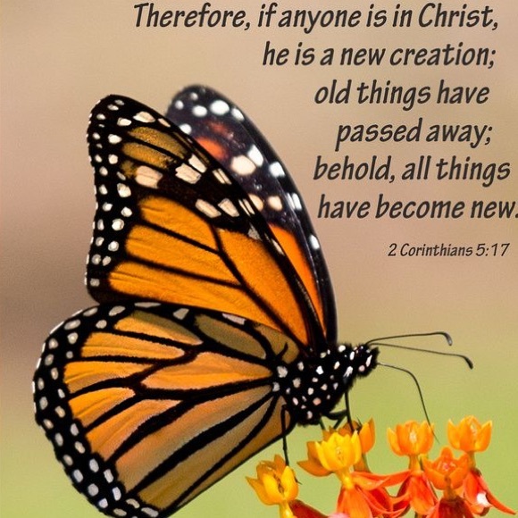 🦋WELCOME TO MONARCHS_OF_GOD formerly glsmdollz5!!🦋 - Picture 1 of 1